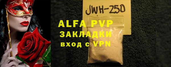 стафф Новозыбков