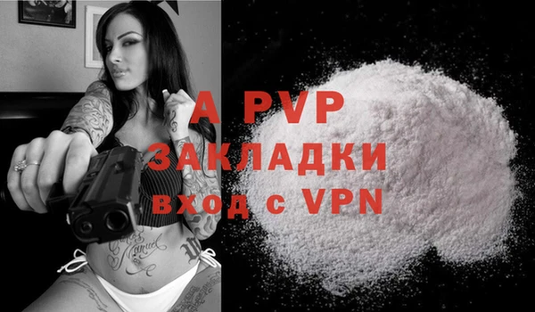 скорость Новодвинск