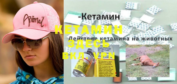 стафф Новозыбков