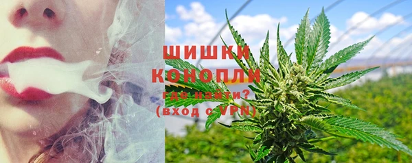 стафф Новозыбков