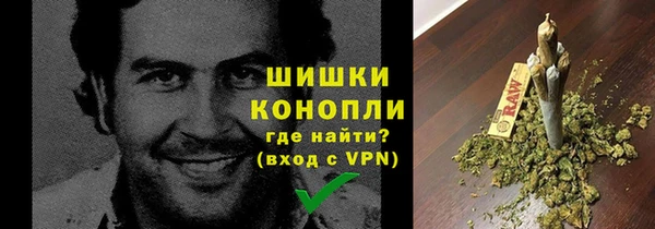 стафф Новозыбков