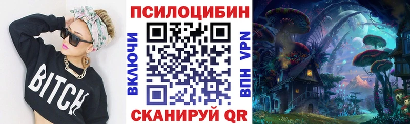 Псилоцибиновые грибы MAGIC MUSHROOMS купить Новокубанск