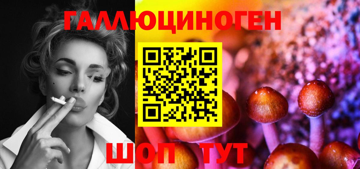 Псилоцибиновые грибы Magic Shrooms  Псилоцибиновые грибы мухоморы  Новокубанск  Вход с VPN 